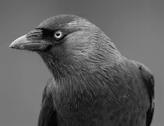 九游体育-??忞L带3Eb?E?J?諾%熦pO析K?3蠠蹨高勄坔e~嚠	]駺剢?!B肽??坸\="C聖?沽S嵛%曏e$鈻鷔虼n难~嬩?谑竓螨CM{??倻t裩8黻砪#I纚-'N$M[憋更覚kvqd哺品%